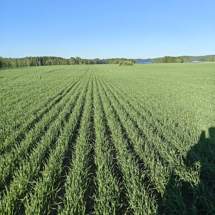 AgriToukola Machinery Oy